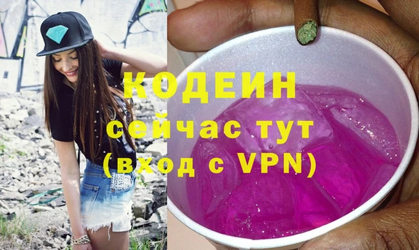 сатива Дмитриев