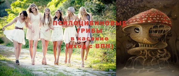 гидропоника Гусиноозёрск