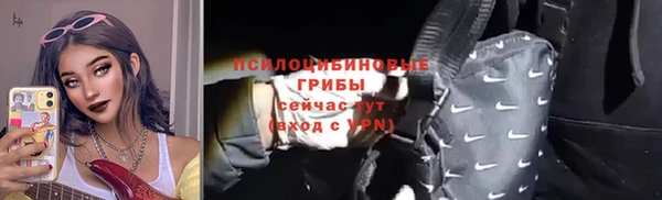сатива Дмитриев