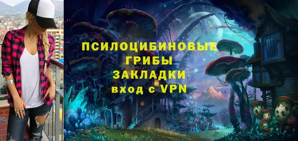 гидропоника Гусиноозёрск