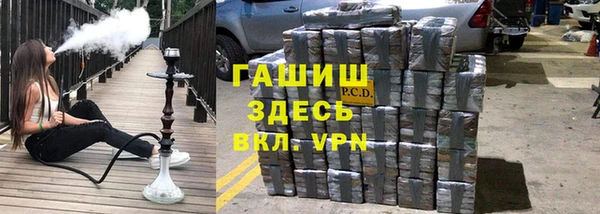 сатива Дмитриев