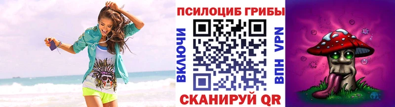 ОМГ ОМГ ссылка  Гаврилов Посад  Псилоцибиновые грибы мицелий  закладка 
